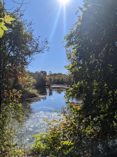 Lily Pond County Park - Lake Ronkonkoma, NY