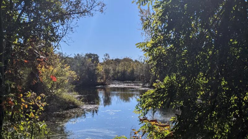Lily Pond County Park - Lake Ronkonkoma, NY