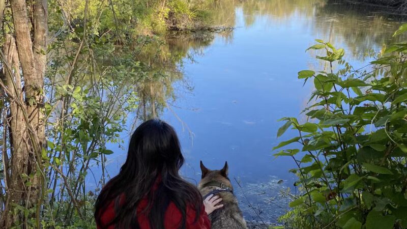 Lily Pond County Park - Lake Ronkonkoma, NY