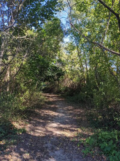 Lily Pond County Park - Lake Ronkonkoma, NY