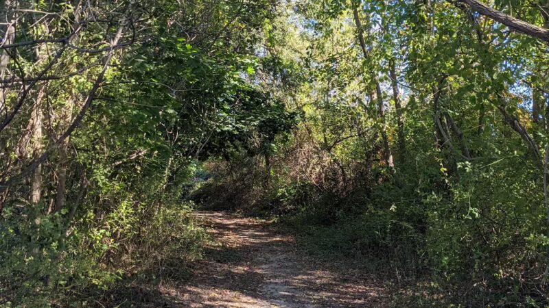 Lily Pond County Park - Lake Ronkonkoma, NY