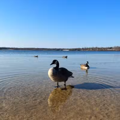 Lt. Michael P. Murphy Memorial Park - Lake Ronkonkoma, NY