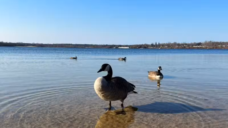 Lt. Michael P. Murphy Memorial Park - Lake Ronkonkoma, NY