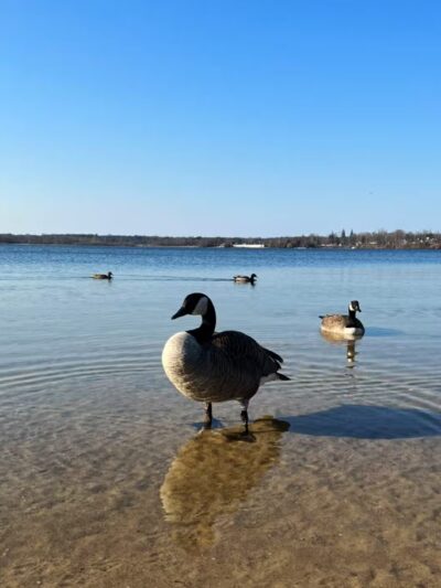 Lt. Michael P. Murphy Memorial Park - Lake Ronkonkoma, NY
