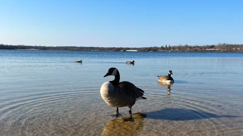 Lt. Michael P. Murphy Memorial Park - Lake Ronkonkoma, NY