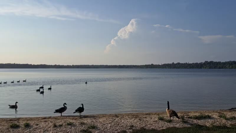 Lt. Michael P. Murphy Memorial Park - Lake Ronkonkoma, NY