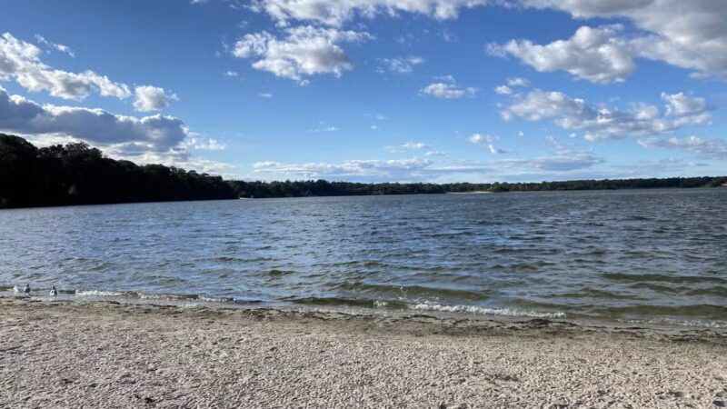 Raynor Beach County Park - Lake Ronkonkoma, NY