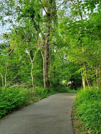 Raynor Beach County Park - Lake Ronkonkoma, NY