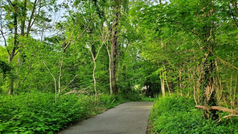 Raynor Beach County Park - Lake Ronkonkoma, NY