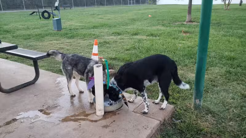 Lake Worth Dog Park - Lake Worth, TX