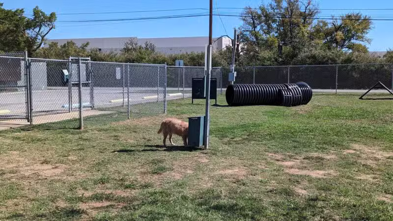 Lake Worth Dog Park - Lake Worth, TX