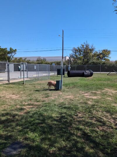 Lake Worth Dog Park - Lake Worth, TX