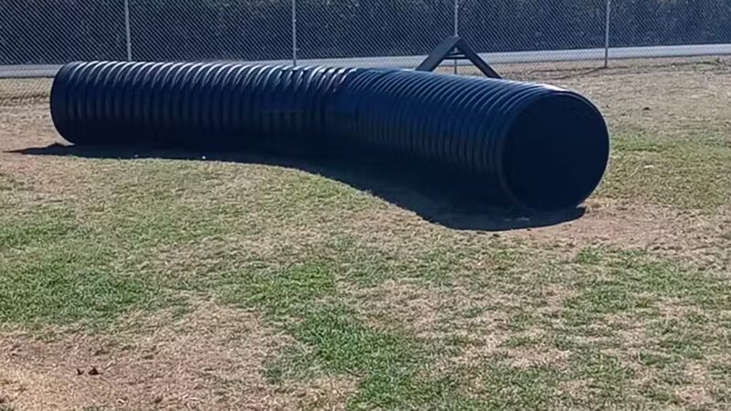 Lake Worth Dog Park - Lake Worth, TX