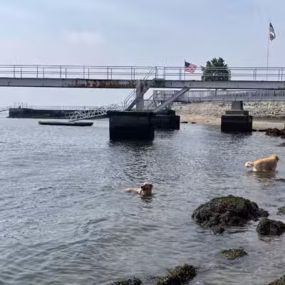 Larchmont Dog Beach - Larchmont, NY