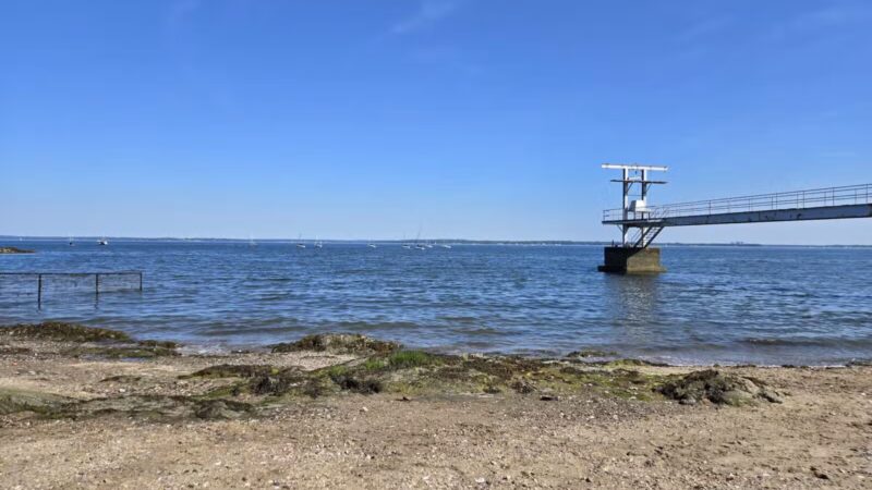 Larchmont Dog Beach - Larchmont, NY