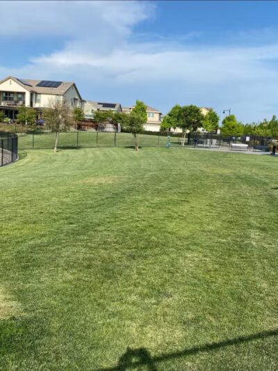 Dog Park - Lathrop, CA