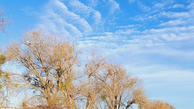 Lathrop Dog Park - Lathrop, CA