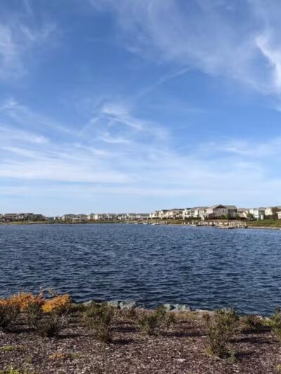 River Islands Dog Park - Lathrop, CA