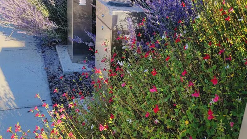 River Islands Dog Park - Lathrop, CA