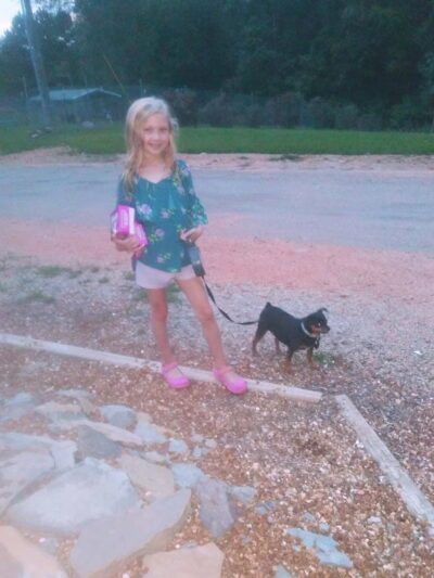 Memorial Dog Park of Lawrence County Tn - Lawrenceburg, TN