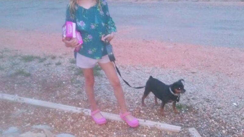 Memorial Dog Park of Lawrence County Tn - Lawrenceburg, TN