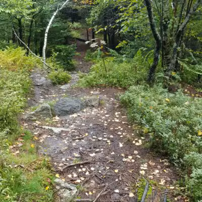Silver Mountain Trail - Lempster, NH