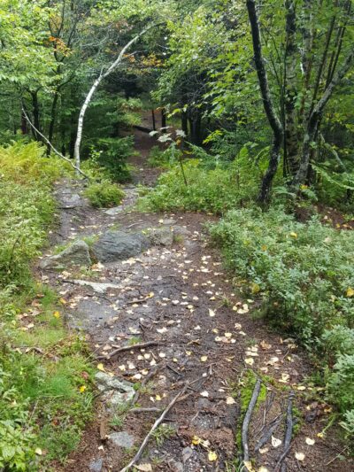 Silver Mountain Trail - Lempster, NH