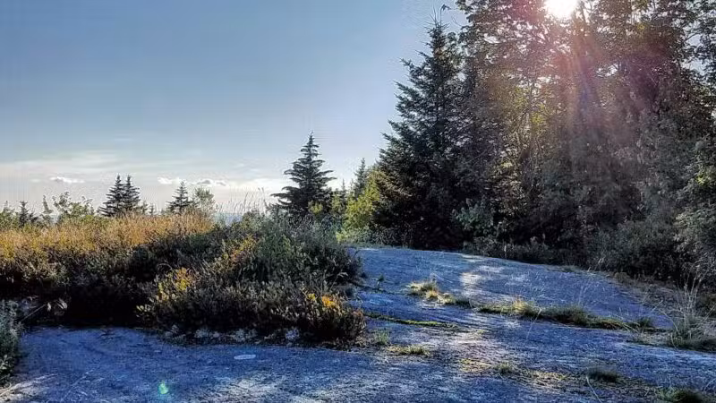 Silver Mountain Trail - Lempster, NH
