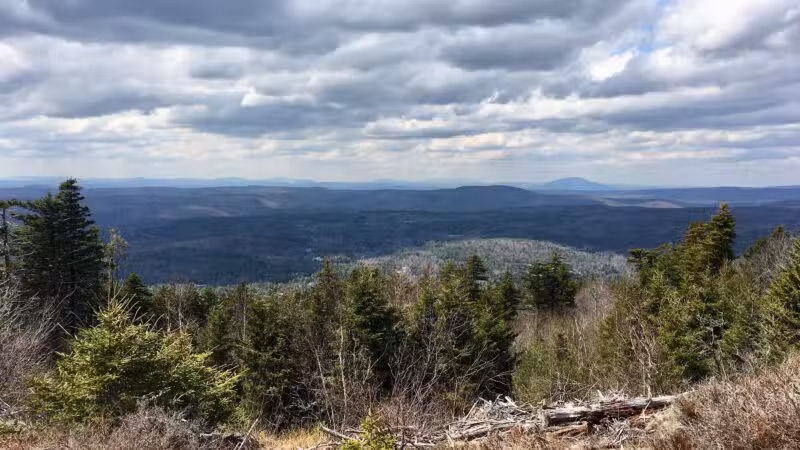 Silver Mountain Trail - Lempster, NH