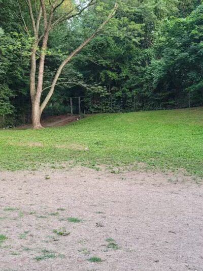 Dudley C Allen Playground & Dog Park - Leonia, NJ