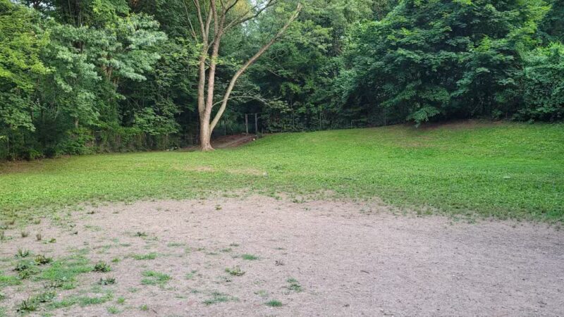 Dudley C Allen Playground & Dog Park - Leonia, NJ