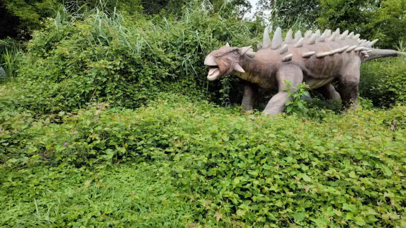 Overpeck County Park - Leonia, NJ