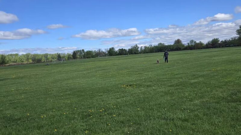 Overpeck Park Henry Hoebel Area - Leonia, NJ