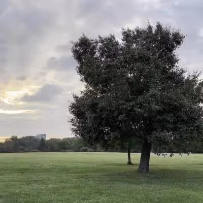 Overpeck Park Henry Hoebel Area - Leonia, NJ