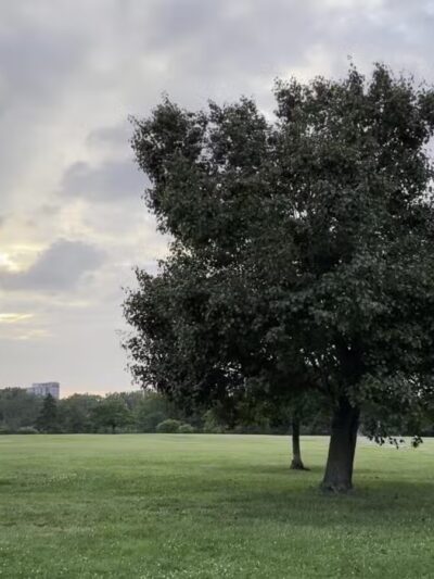 Overpeck Park Henry Hoebel Area - Leonia, NJ