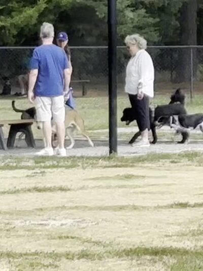 Lewes Unleashed Dog Park Private Park - Lewes, DE