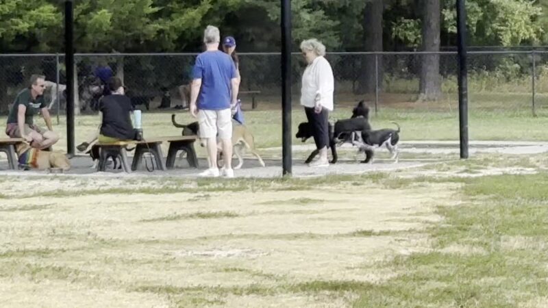 Lewes Unleashed Dog Park Private Park - Lewes, DE