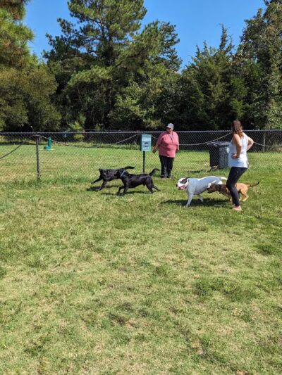 Lewes Unleashed Dog Park Private Park - Lewes, DE
