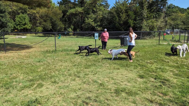 Lewes Unleashed Dog Park Private Park - Lewes, DE