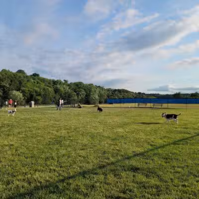 Lewiston Dog Park - Lewiston, NY