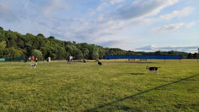 Lewiston Dog Park - Lewiston, NY