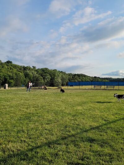 Lewiston Dog Park - Lewiston, NY