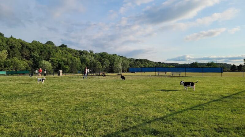 Lewiston Dog Park - Lewiston, NY