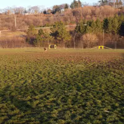 Lewiston Dog Park - Lewiston, NY
