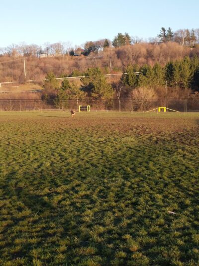 Lewiston Dog Park - Lewiston, NY