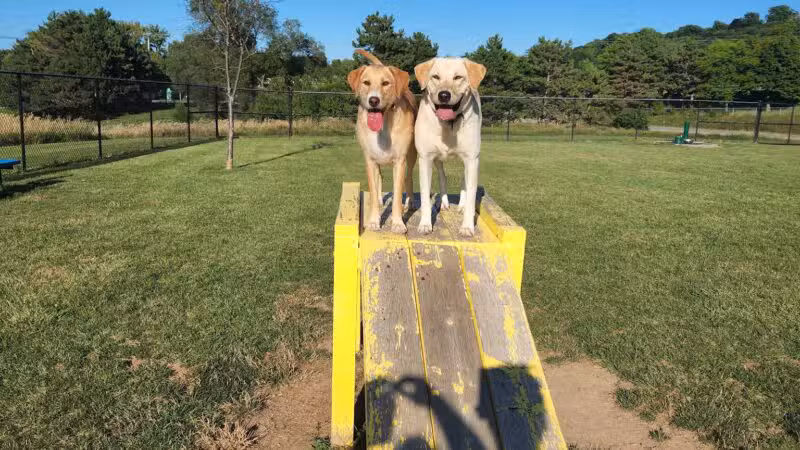 Lewiston Dog Park - Lewiston, NY