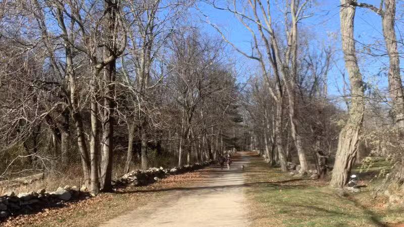 Battle Road Trailhead - Lexington, MA