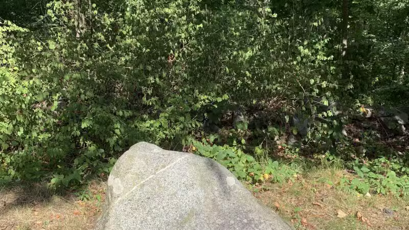 Battle Road Trailhead - Lexington, MA