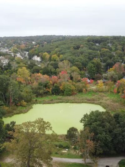 Adams Park - Lexington, MA