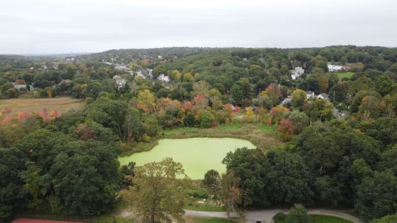 Adams Park - Lexington, MA